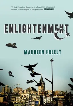 Enlightenment: A Novel