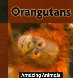 עטיפת הספר Orangutans (Amazing Animals) מאת Michael De Medeiros