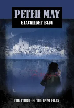 Blacklight Blue (Enzo Files)