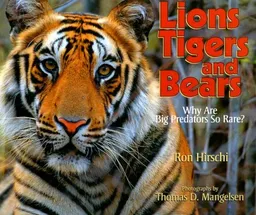 Lions, Tigers, and Bears: Why Are Big Predators So Rare?