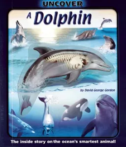 Uncover a Dolphin (Uncover Books)