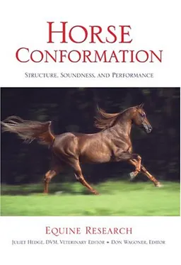 Horse Conformation: Structure, Soundness, and Performance