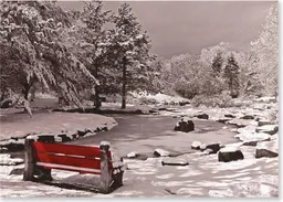 Snowy Bench (Stationery, Note Cards) (Large Holiday Card Series)