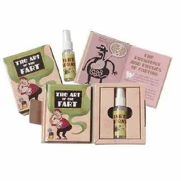 The Art of Fart (Activity Kit) (Petite Plus Kit Series)