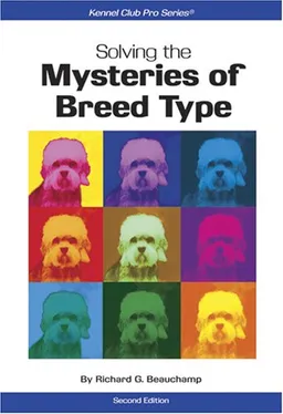 Solving the Mysteries of Breed Type (Kennel Club Pro)