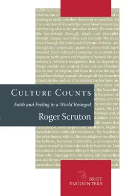 Culture Counts: Faith and Feeling in a World Besieged (Brief Encounters)
