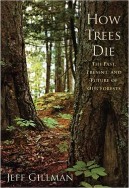 How Trees Die: The Past, Present, and Future of our Forests