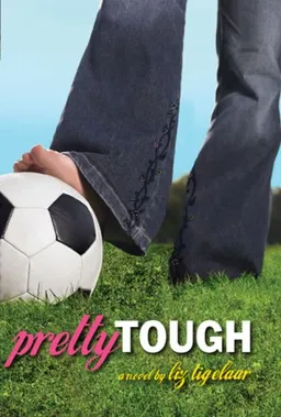 PrettyTOUGH