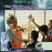The Skeletal System (Human Body)
