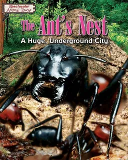 The Ant's Nest: A Huge, Underground City (Spectacular Animal Towns)