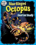 Blue-Ringed Octopus: Small but Deadly (Afraid of the Water)