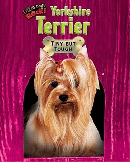 Yorkshire Terrier: Tiny but Tough (Little Dogs Rock!)