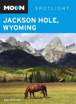 Moon Spotlight Jackson Hole, Wyoming