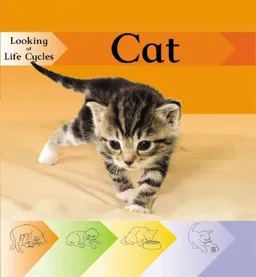 Cat (Looking at Life Cycles)