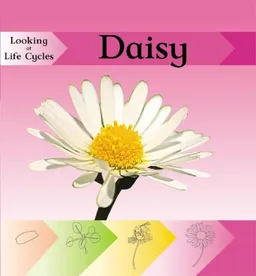 Daisy (Looking at Life Cycles)