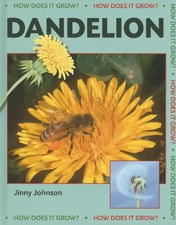 Dandelion (How Does It Grow?)