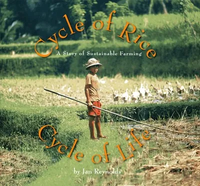 CYCLE OF RICE, CYCLE OF LIFE