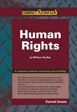 Human Rights (Compact Research Series)