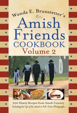 עטיפת הספר Wanda E. Brunstetter's Amish Friends Cookbook Volume 2 מאת Wanda E. Brunstetter