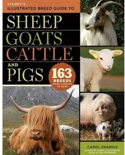 עטיפת הספר Storey's Illustrated Breed Guide to Sheep, Goats, Cattle and Pigs: 163 Breeds from Common to Rare (Storeys Illustrated Breed Gde) מאת Carol Ekarius