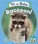 It's a Baby Raccoon! (Baby Mammals)