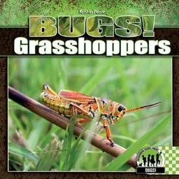 Grasshoppers (Bugs!)
