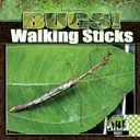 Walking Sticks (Bugs!)