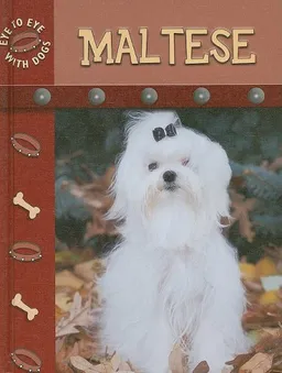 Maltese (Eye to Eye With Dogs)