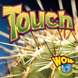 Touch (Wow World of Wonder)