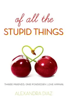 עטיפת הספר Of All the Stupid Things מאת Alexandra Diaz