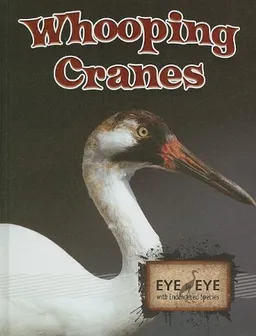 Whooping Cranes (Eye to Eye With Endangered Species)