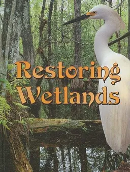 Restoring Wetlands (Let's Explore Science)