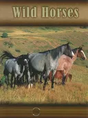 Wild Horses (Eye to Eye With Horses)