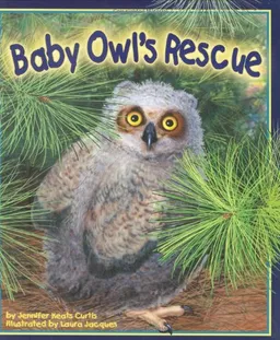 Baby Owl's Rescue