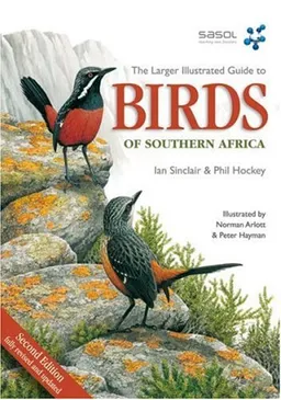 עטיפת הספר Larger Illustrated Guide to Birds of Southern Africa מאת Norman Arlott