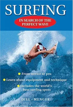 Surfing: In Search of the Perfect Wave