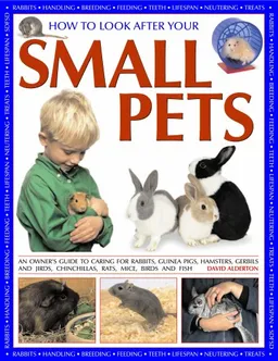 How to Look After Your Small Pets: an owners guide
