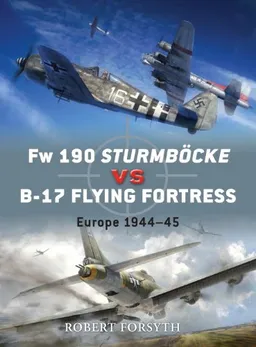 Fw 190 Sturmbocke vs B-17 Flying Fortress: Europe 1944-45 (Duel)