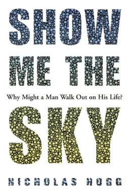 Show Me the Sky: A Novel