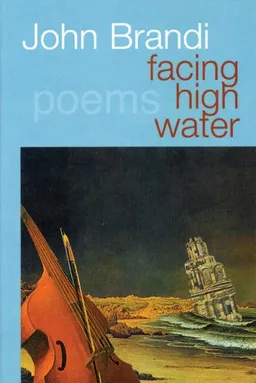 עטיפת הספר Facing High Water מאת John Brandi