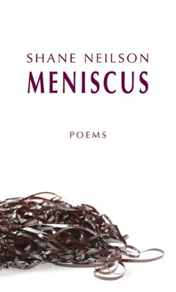 Meniscus