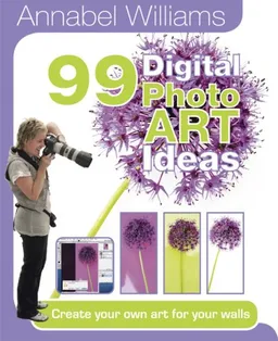 99 Photo Art Ideas: Create your own art for your walls (99 Photo Ideas)