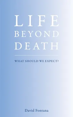 Life Beyond Death: What Should We Expect?