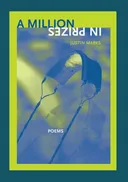 A Million in Prizes (New Issues Poetry & Prose)