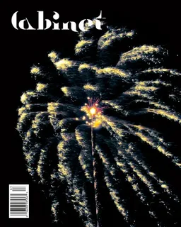 Cabinet 32: Fire (Cabinet Quarterly of Art and Culture)