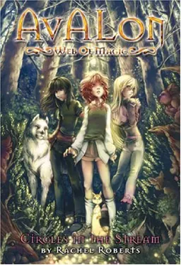 Avalon: Web of Magic Book 1: Circles in the Stream (Bk. 1)