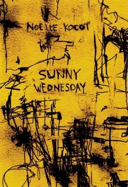 Sunny Wednesday