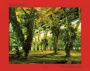 Peter Bialobrzeski: Paradise Now