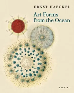 Art Forms From The Ocean: The Radiolarian Atlas Of 1862