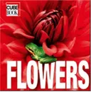 Flowers (Cube Books)
